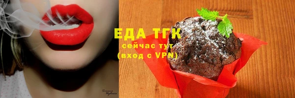 тгк Гусев