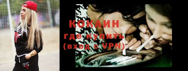 тгк Гусев
