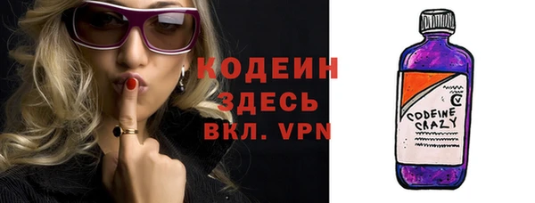 тгк Гусев