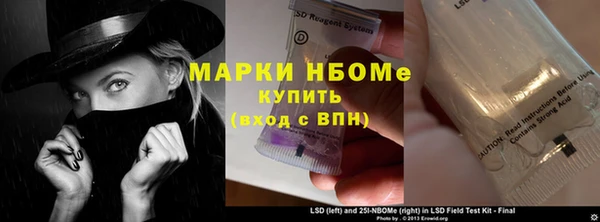 тгк Гусев