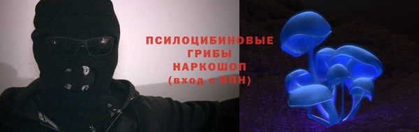 стафф Гусиноозёрск