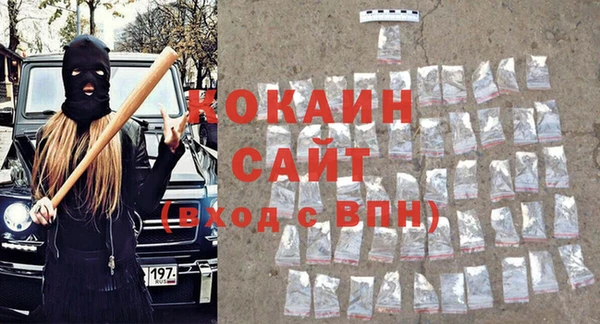 тгк Гусев