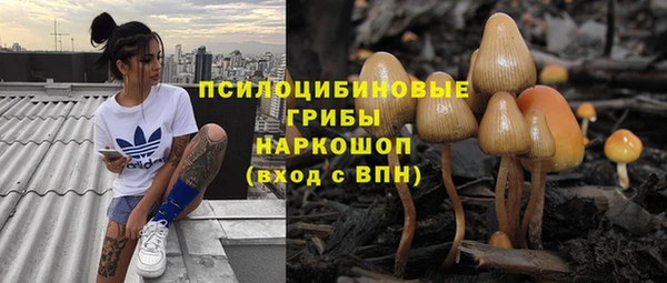 тгк Гусев