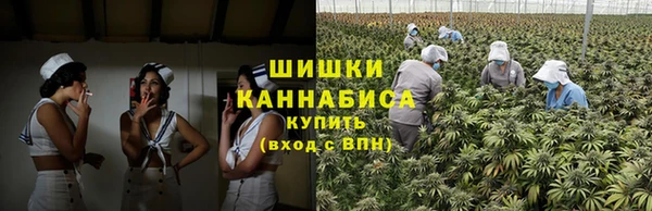 стафф Гусиноозёрск