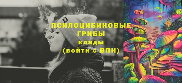 спиды Гусь-Хрустальный