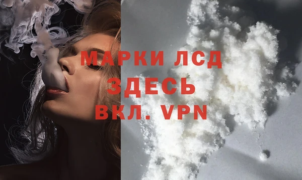 тгк Гусев