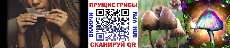 Купить  Ялуторовск  Галлюциногенные грибы мицелий 